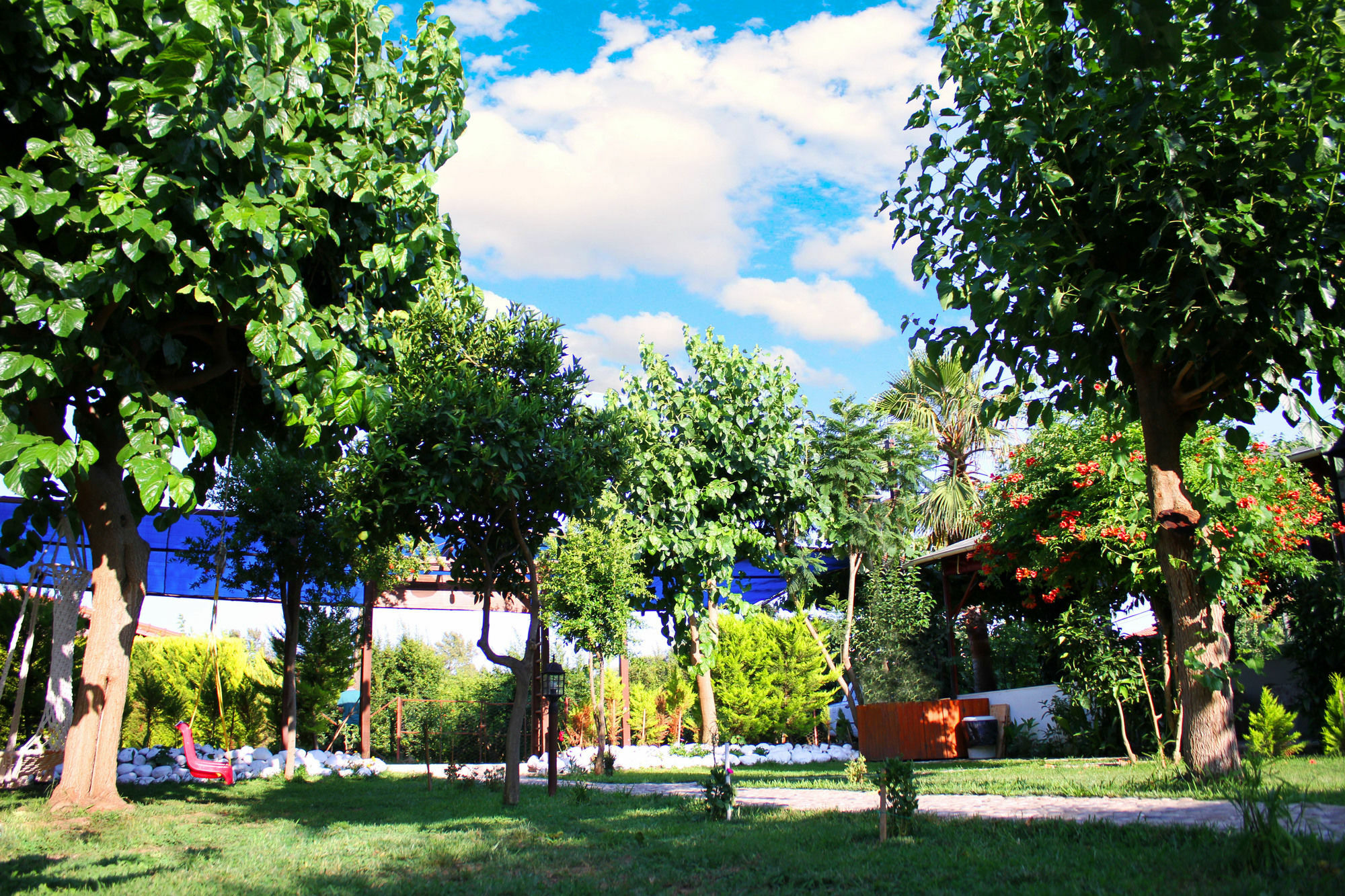 Alican Pension Çıralı Esterno foto